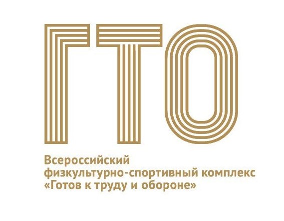 Подготовка спортивных судей главной судейской коллегии и судейских бригад физкультурных и спортивных мероприятий ВФСК "Готов к труду и обороне" (ГТО) для инвалидов и лиц с ограниченными возможностями здоровья